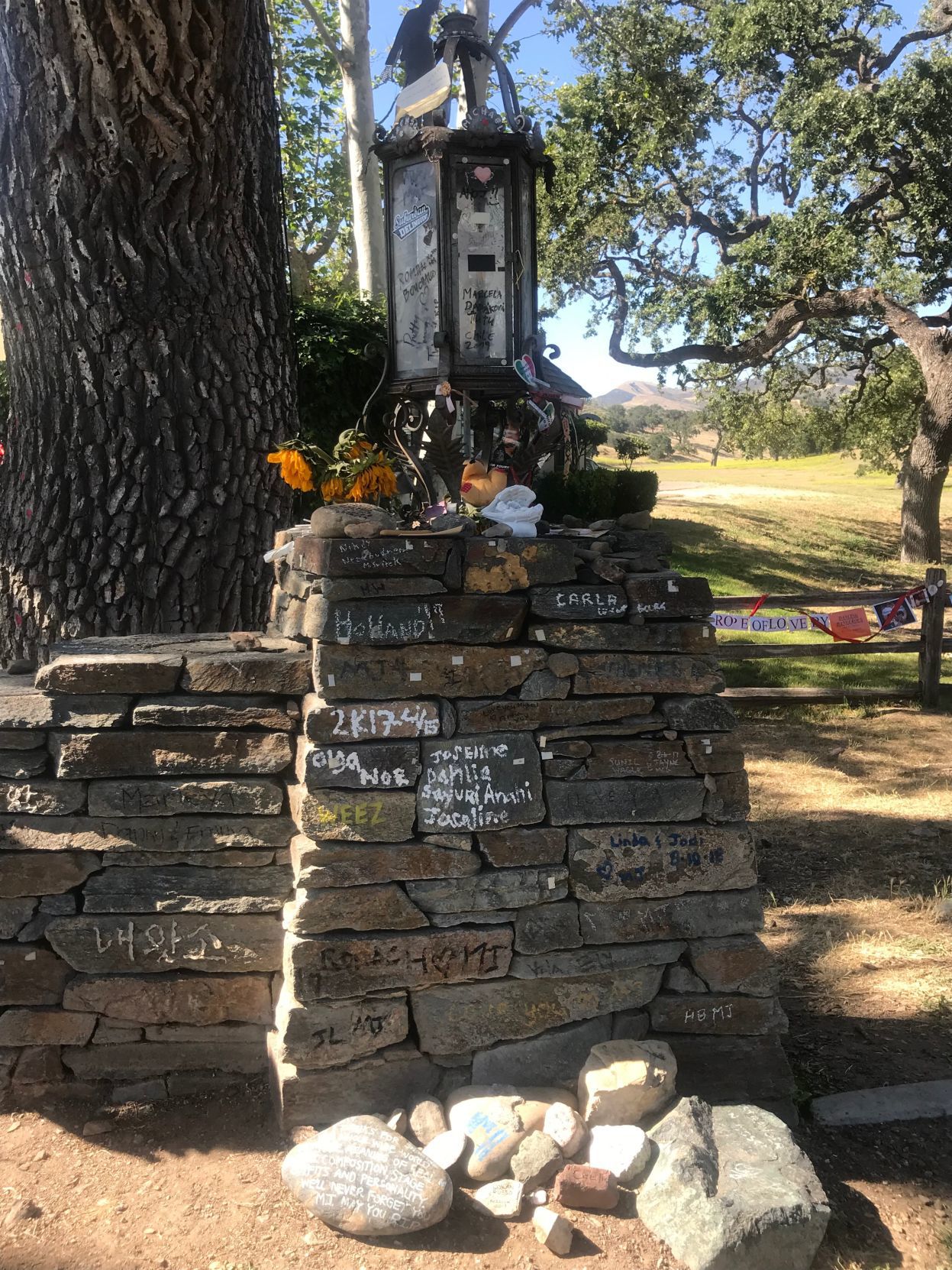 062719 MJ Ranch 4